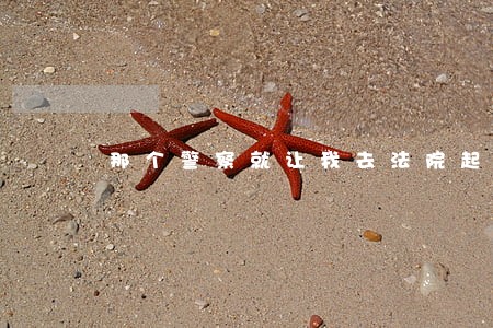 那个警察就让我去法院起诉他 那个警察就让我去法院起诉他