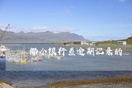 那个银行差逾期记录的 那个银行差逾期记录的