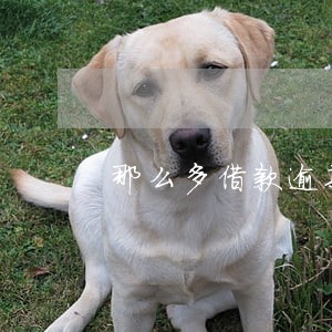 那么多借款逾期了怎么办 那么多借款逾期了怎么办