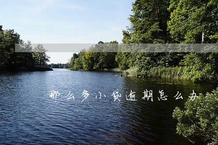 那么多小贷逾期怎么办