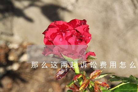 那么这两起诉讼费用怎么判会