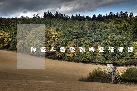 那些人会受到哪些法律惩罚 那些人会受到哪些法律惩罚