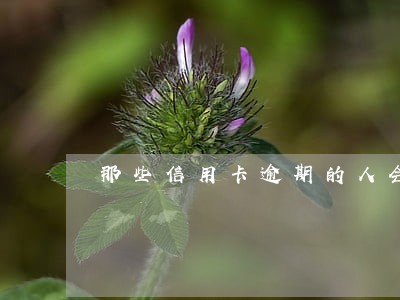 那些信用卡逾期的人会怎样 那些信用卡逾期的人会怎样