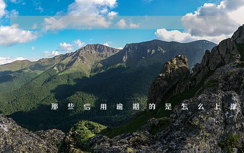那些信用逾期的是怎么上岸的 那些信用逾期的是怎么上岸的