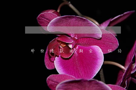 那些借款逾期会上征信 那些借款逾期会上征信
