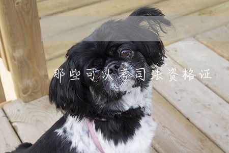 那些可以考司法资格证