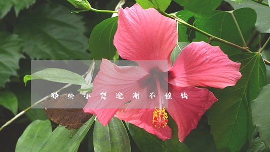 那些小贷逾期不催收 那些小贷逾期不催收