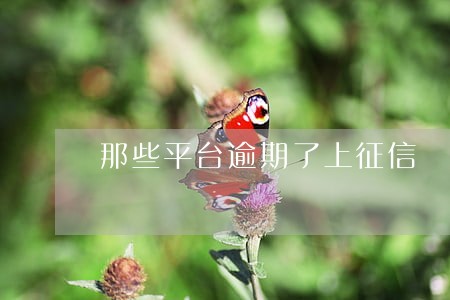 那些平台逾期了上征信 那些平台逾期了上征信