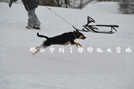 那些拿到了律师执业资格证的 那些拿到了律师执业资格证的