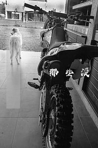 那些没有聘请法律顾问的企业 那些没有聘请法律顾问的企业