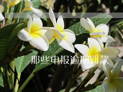 那些申报逾期罚款 那些申报逾期罚款