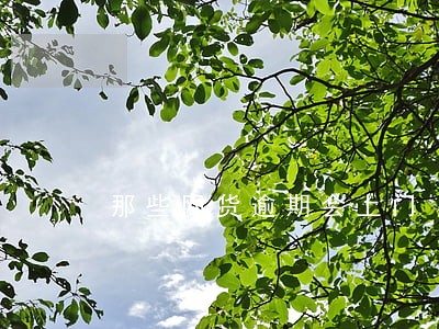 那些网货逾期会上门 那些网货逾期会上门