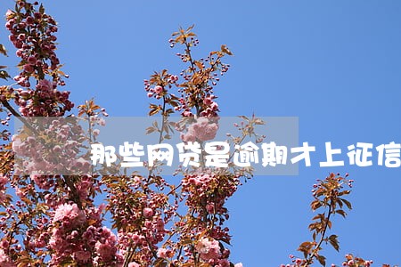 那些网贷是逾期才上征信的 那些网贷是逾期才上征信的