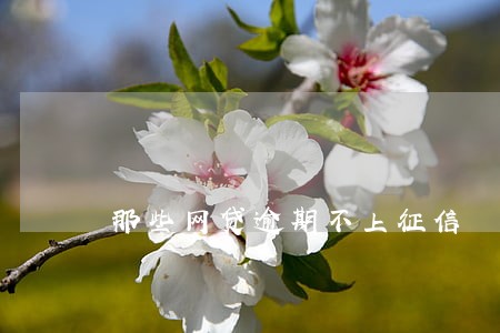 那些网贷逾期不上征信 那些网贷逾期不上征信
