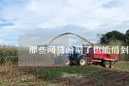 那些网贷逾期了也能借到钱的 那些网贷逾期了也能借到钱的