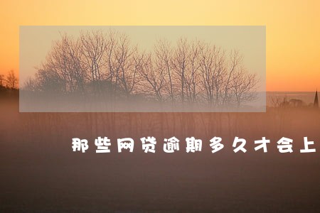 那些网贷逾期多久才会上征信 那些网贷逾期多久才会上征信
