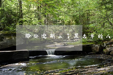 那些逾期上了黑名单的人怎么样了 那些逾期上了黑名单的人怎么样了