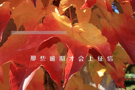 那些逾期才会上征信 那些逾期才会上征信