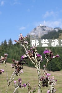 那些逾期费特别高的要还吗