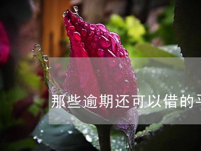 那些逾期还可以借的平台 那些逾期还可以借的平台
