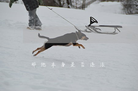 那他本身是否违法