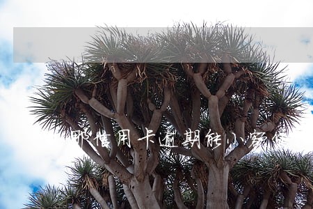 那信用卡逾期能小额贷款吗 那信用卡逾期能小额贷款吗