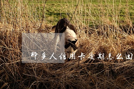 那多人信用卡逾期怎么回事