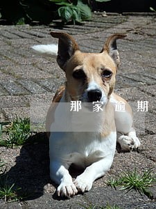 那家逾期过可以贷款小型贷款