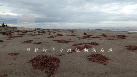 那新的诉讼时效期间届满 那新的诉讼时效期间届满