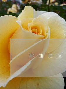 那曲地区司法处王勇