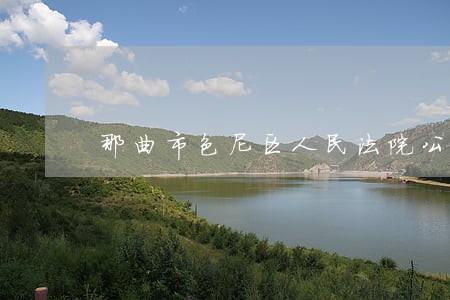 那曲市色尼区人民法院公开网 那曲市色尼区人民法院公开网