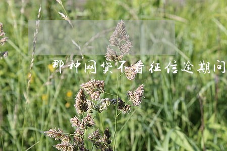 那种网贷不看征信逾期问题的 那种网贷不看征信逾期问题的
