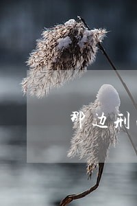 那边刑法修改就通过了 那边刑法修改就通过了