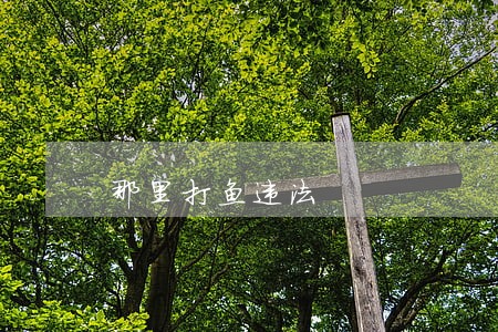 那里打鱼违法 那里打鱼违法