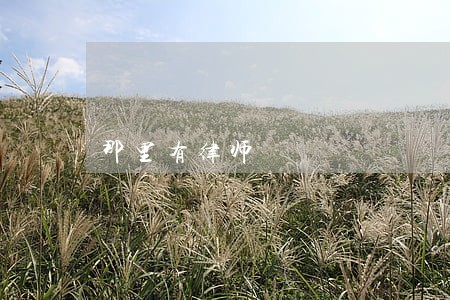 那里有律师 那里有律师