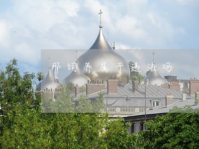 那饲养属于违法吗 那饲养属于违法吗