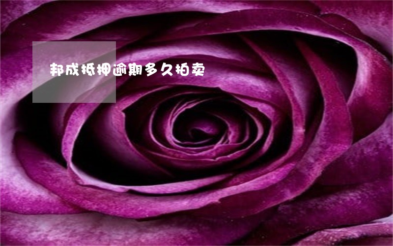 邦成抵押逾期多久拍卖 邦成抵押逾期多久拍卖
