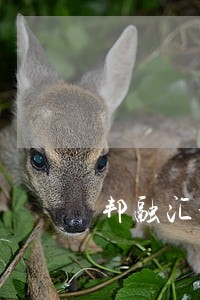 邦融汇最变逾期时间 邦融汇最变逾期时间