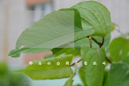 邪恶动态图不违法吗 邪恶动态图不违法吗