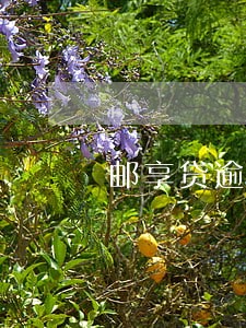 邮享贷逾期后果 邮享贷逾期后果