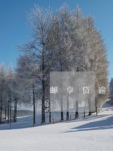 邮享贷逾期多久联系家人 邮享贷逾期多久联系家人