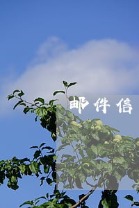 邮件信用卡逾期强制核销通知 邮件信用卡逾期强制核销通知