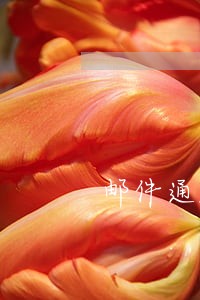 邮件通知逾期放弃入职 邮件通知逾期放弃入职