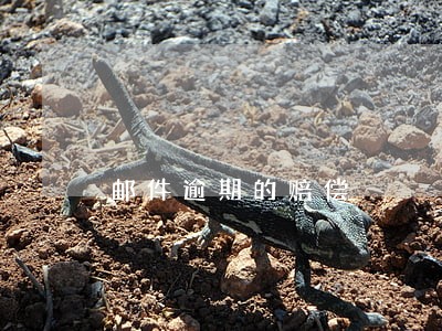 邮件逾期的赔偿 邮件逾期的赔偿