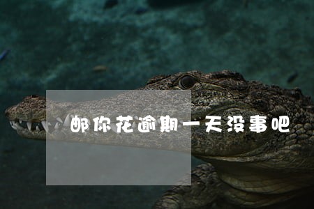 邮你花逾期一天没事吧 邮你花逾期一天没事吧