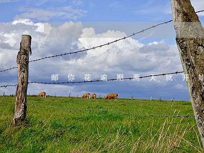 邮你花逾期两天就开始催收了