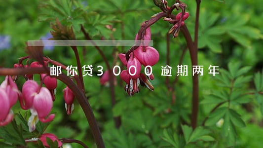 邮你贷3000逾期两年 邮你贷3000逾期两年