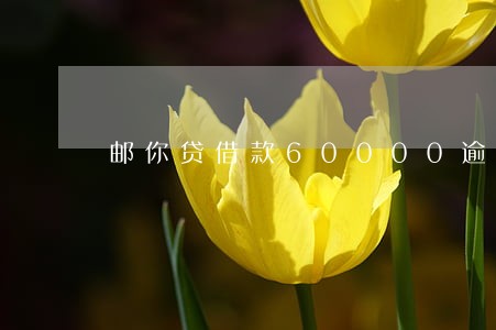 邮你贷借款60000逾期 邮你贷借款60000逾期