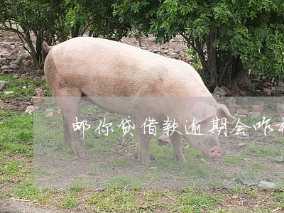 邮你贷借款逾期会咋样 邮你贷借款逾期会咋样