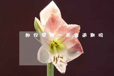 邮你贷晚一天会逾期吗 邮你贷晚一天会逾期吗